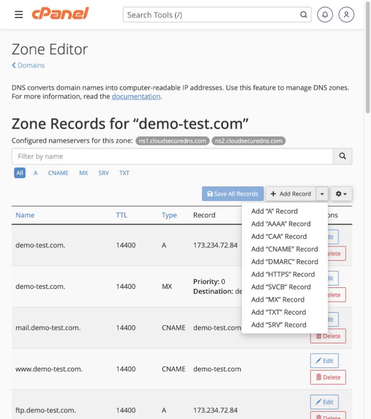 Open the small arrow beside Add Record to choose a type.