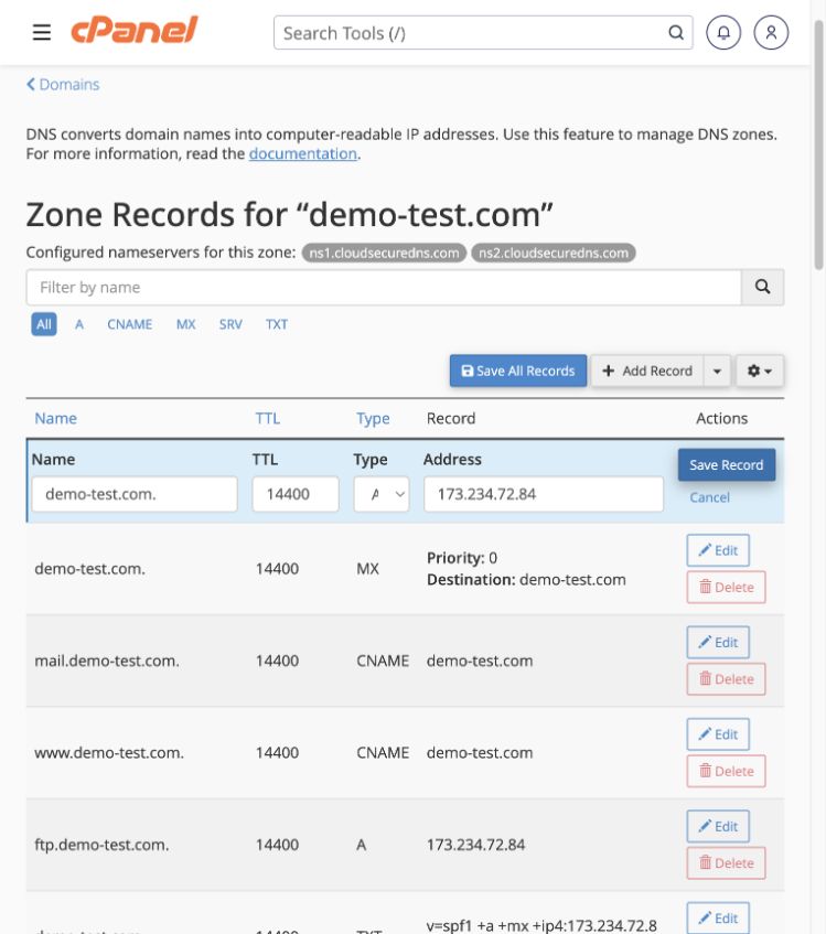Edit opens this row in place; Save Record applies the selected edit.