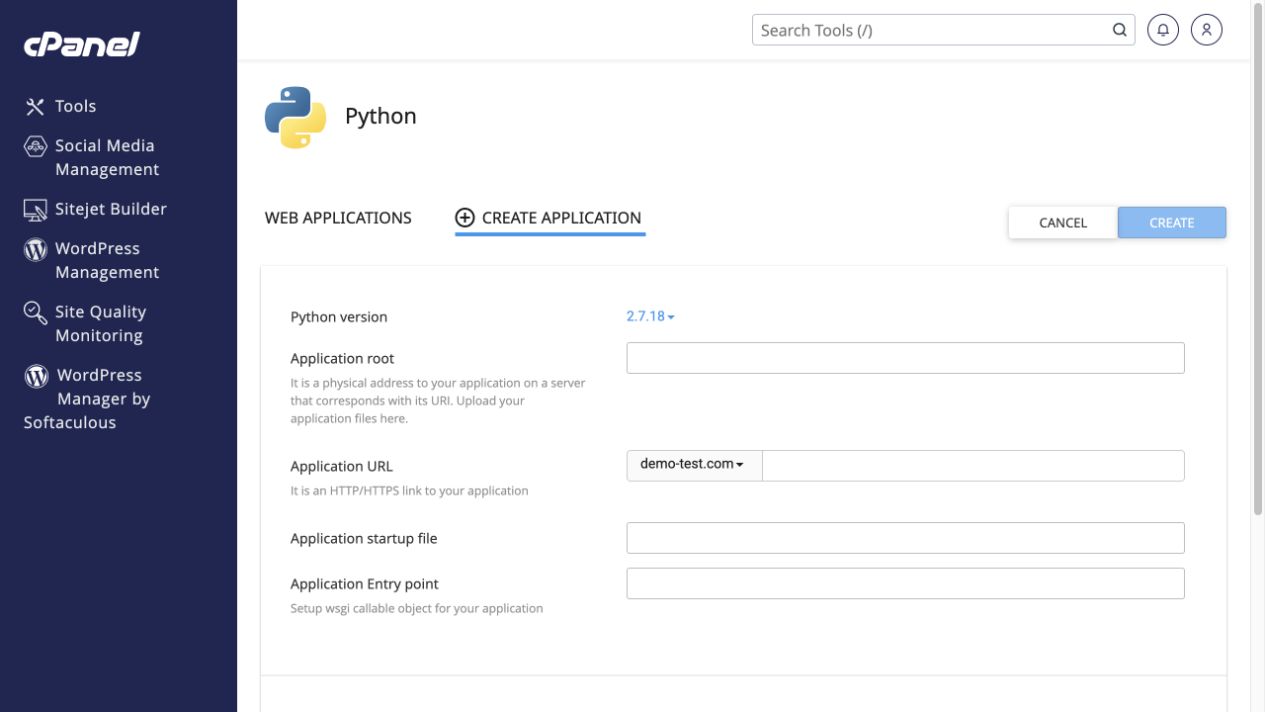 Application startup file and Entry point must match the actual Python app.